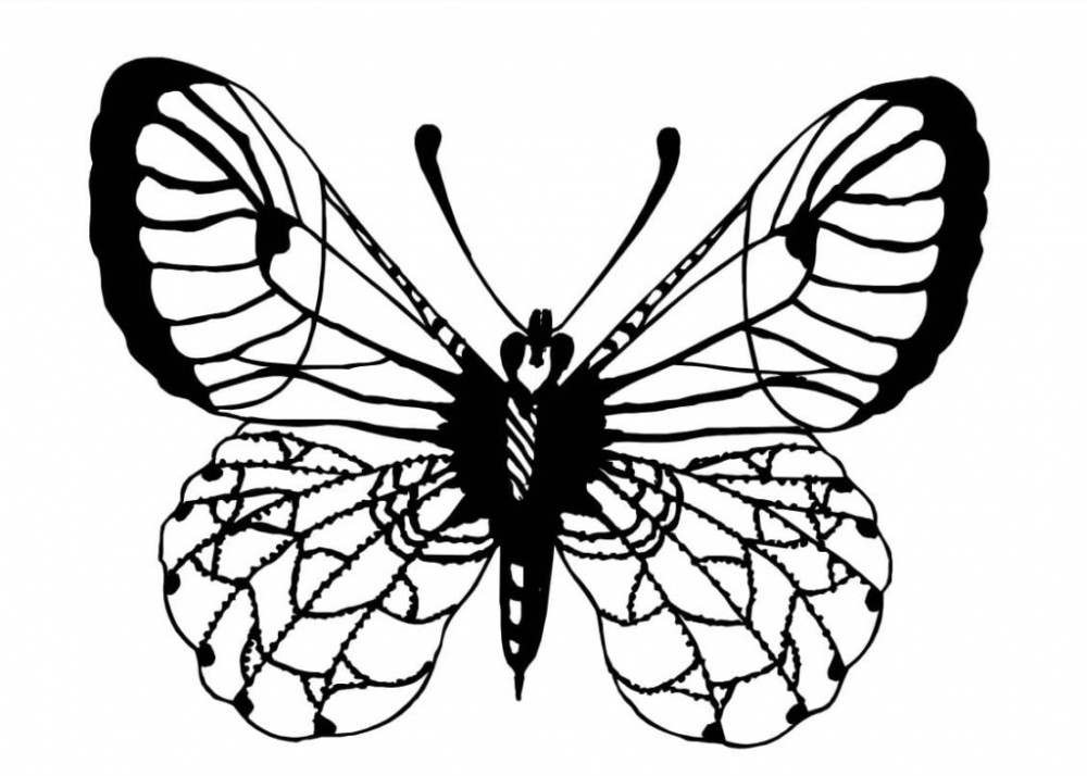 Крупная бабочка
