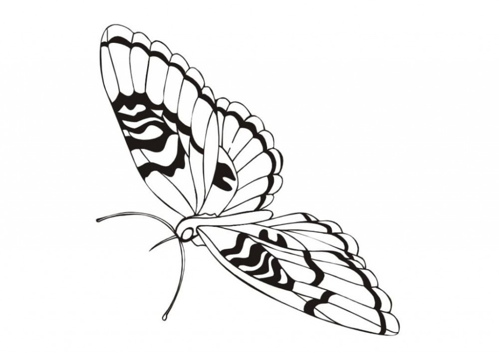 Летающая бабочка