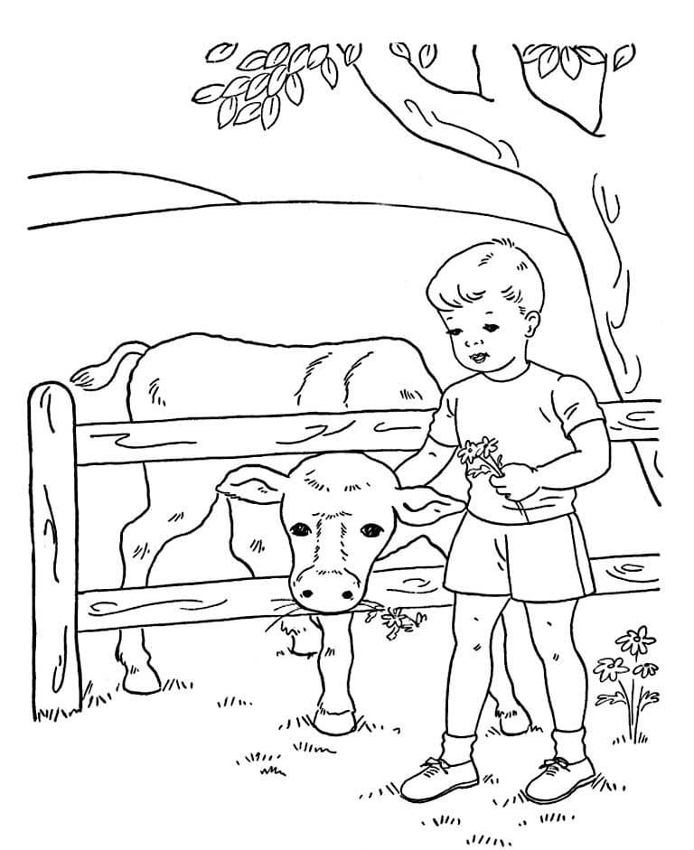 Мальчик кормит корову