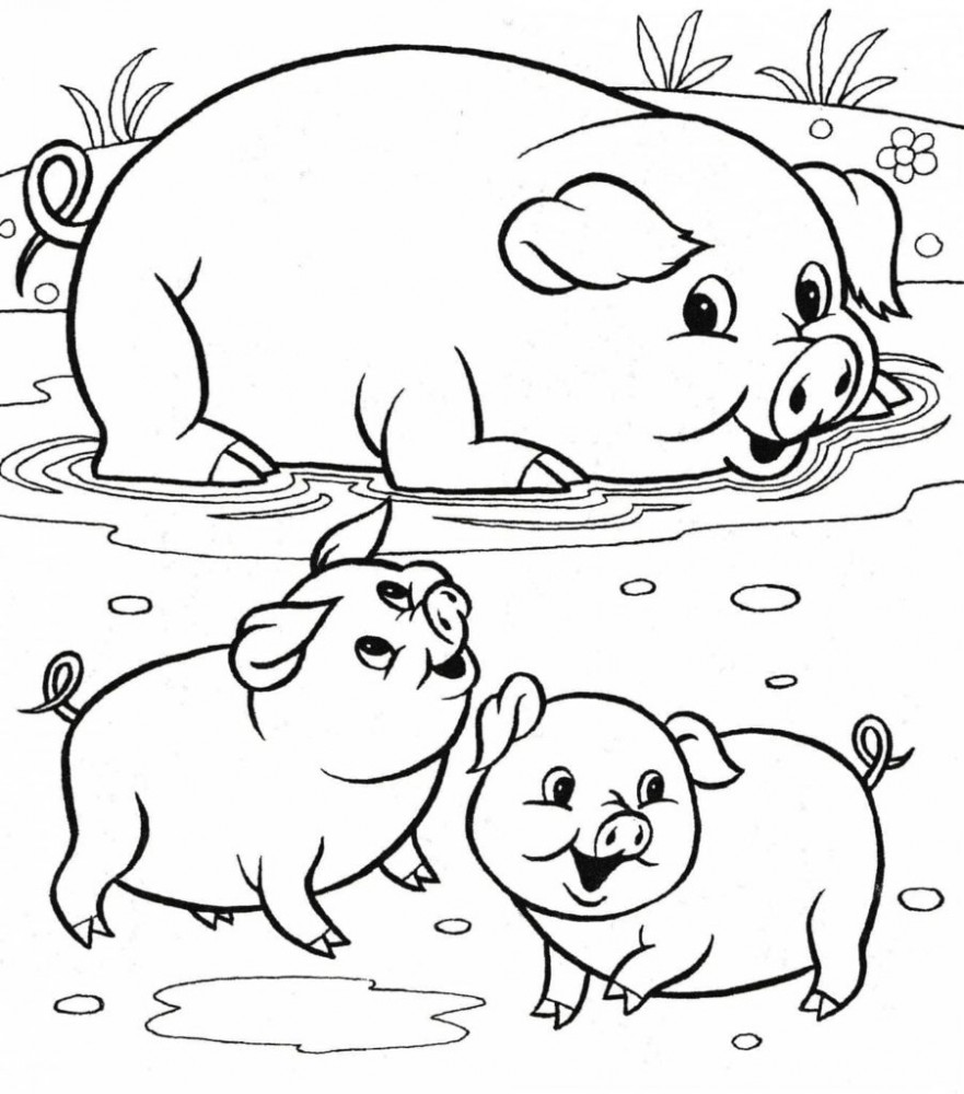 Свиньи купаются в луже