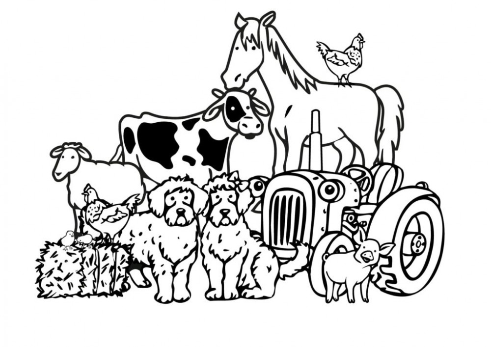 Фермерские животные и трактор