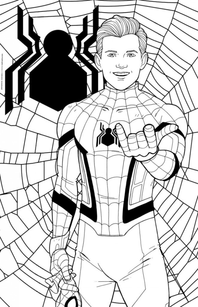 Человек-Паук на фоне паутины