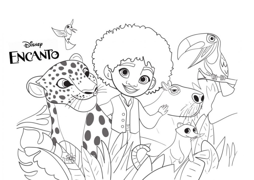 Антонио и животные