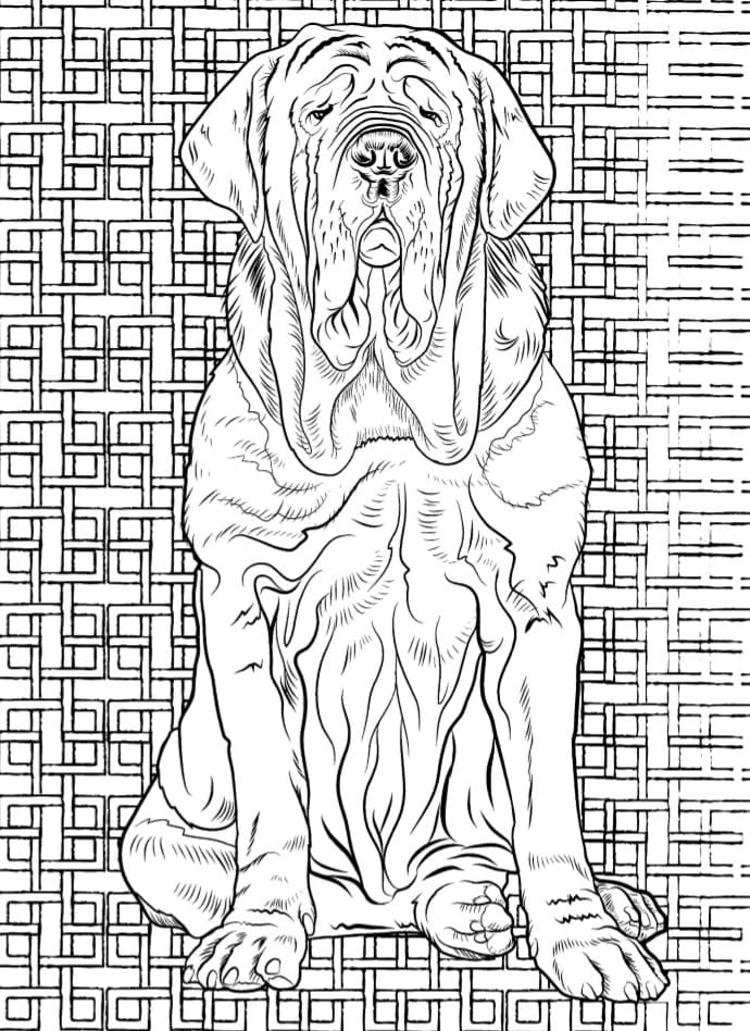 Клык — собака великана-лесника Рубеуса Хагрида
