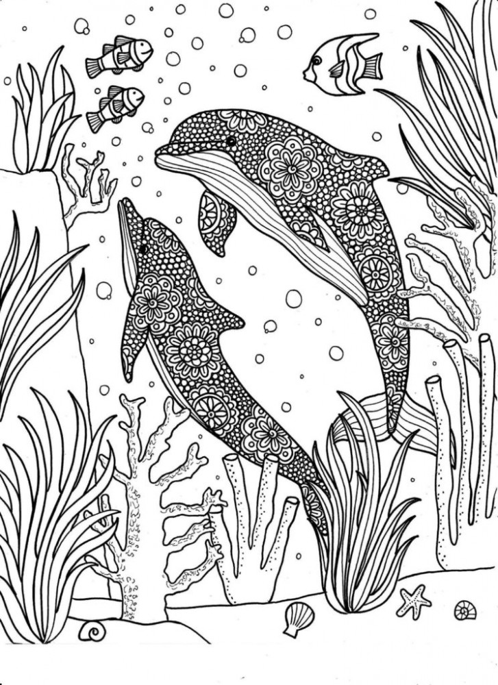 Раскраски дельфинов. Раскраска для детей с дельфинами скачать