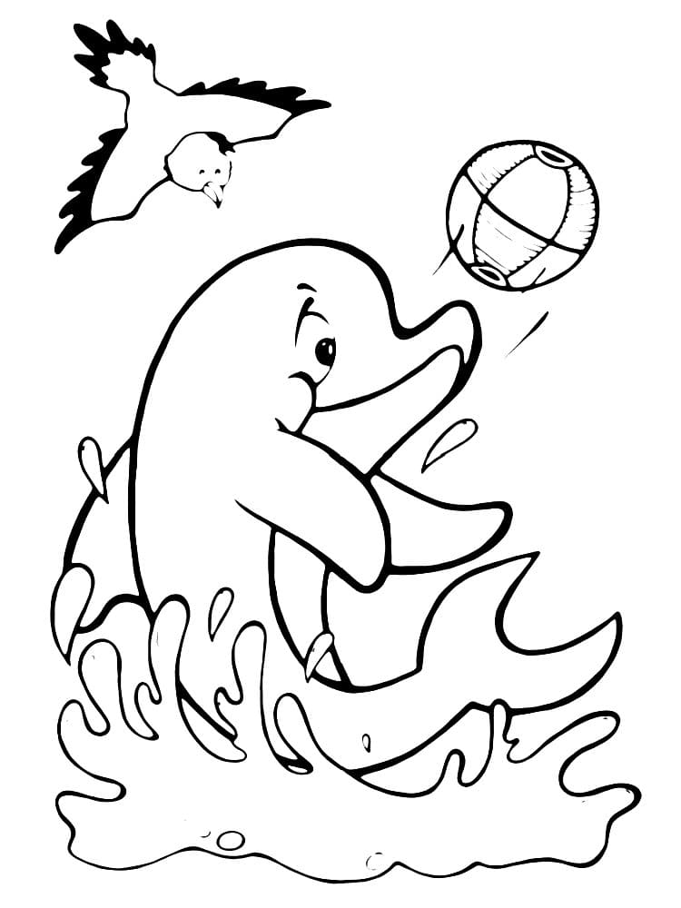 Дельфин играет с мячиком