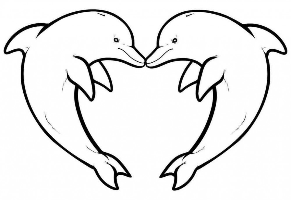 Любовь дельфинов