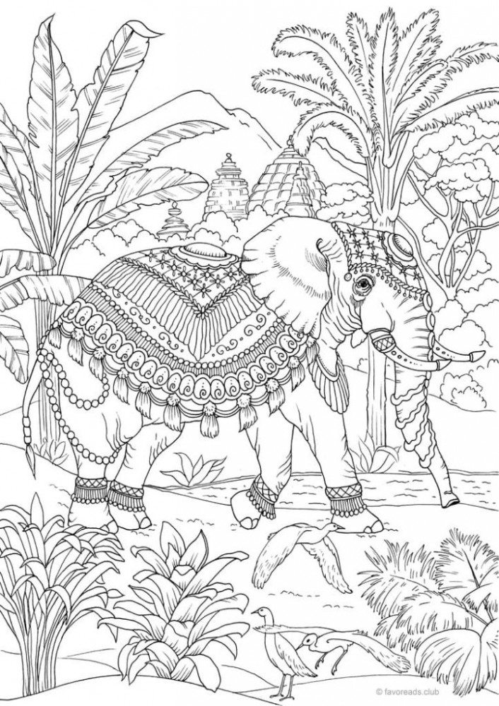 Слон в индийской накидке и с красивыми украшениями